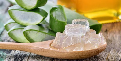 Bolhas na pele: aplique gel de aloe vera