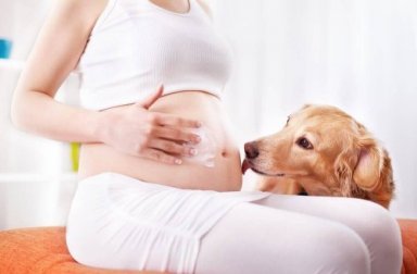 Quais os benefícios dos cães durante a gravidez?