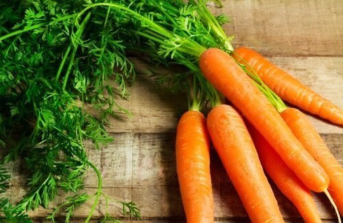Cenoura para massa de legumes