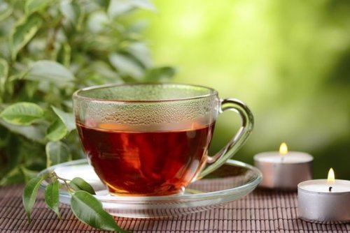 Infusões caseiras de chá vermelho