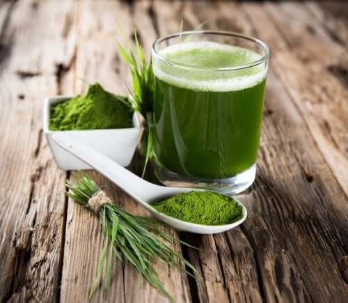 A chlorella, um remédio natural muito efetivo