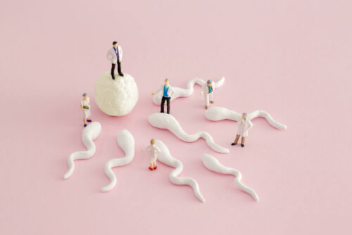 Se a menstruação for irregular posso engravidar?