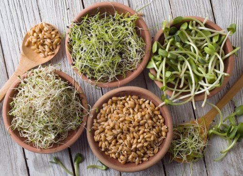 Ingredientes para a salada detox