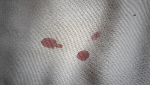 Manchas de sangue