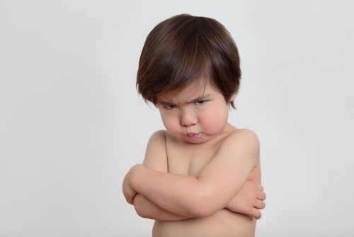 Se seus filhos não comem peixe não dê bronca neles