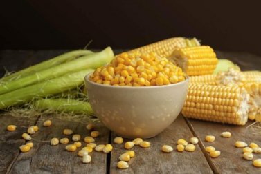 Receitas com milho para o café da manhã