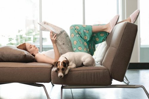 Cachorros trazem paz em casa