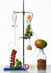 Opinião da ciência sobre as dietas para perder peso