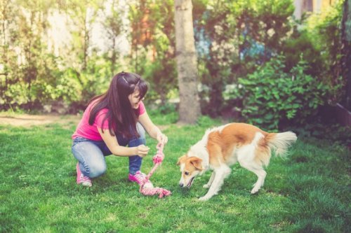 Atividades na natureza: passeio com o cachorro