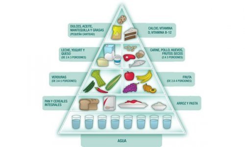 Guia de alimentos em uma dieta