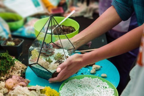 Decoração com suculentas