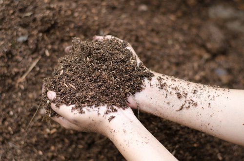 Cuidados especiais das plantas do jardim: colocar terra nova