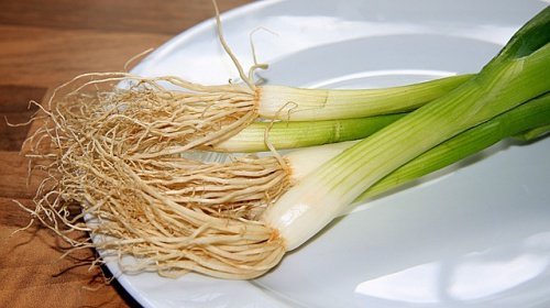 Alho-poró para torta de alho-poró