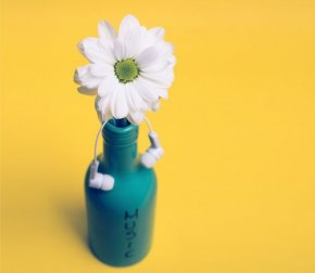 Acessórios botânicos para complementar seu quarto