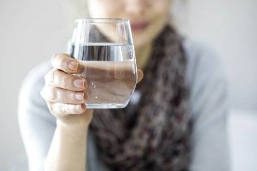 Tipos de dieta com somente líquidos
