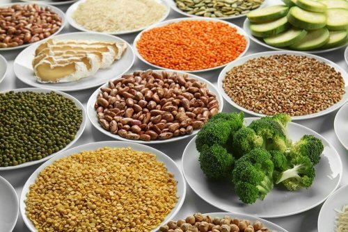 Variedade de alimentos na dieta
