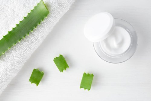 Creme regenerador de aloe vera muito fácil de preparar