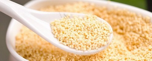 Molho à bolonhesa vegano pode ser feito com sementes