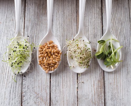 Mandamentos da nutrição saudável: comer pequenas porções