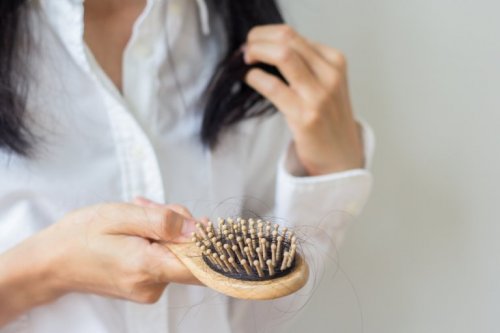 Xampus caseiros para cada tipo de cabelo