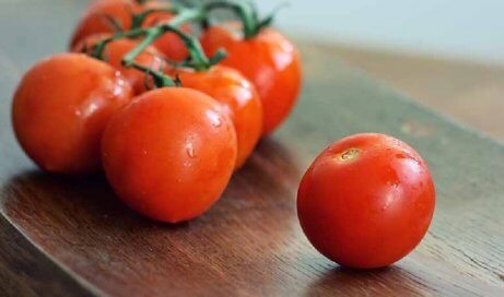 Tomates cultivados em casa