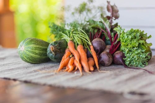 3 receitas com vegetais de estação