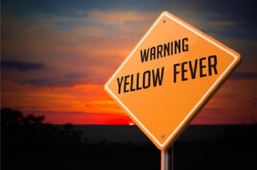 Febre amarela. Como aliviar os sintomas