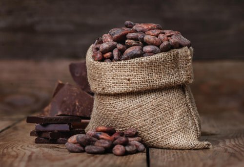 Cacau para combater o frio