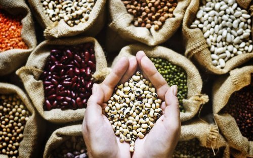 Qual é a importância dos legumes na dieta?