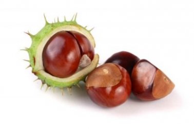 Infusão de castanha-da-índia para a diarreia