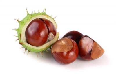 Infusão de castanha-da-índia para a diarreia
