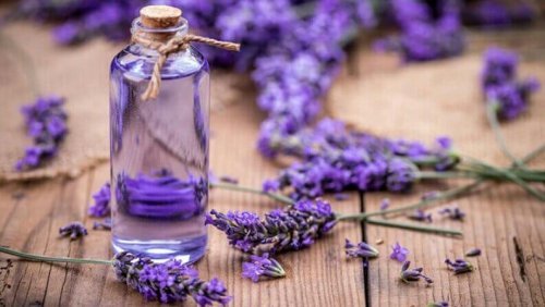 Desodorante de lavanda