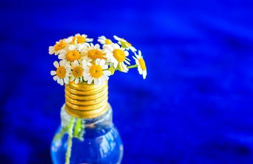 Decore com flores algum objeto reciclado