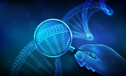 Os gêmeos bivitelinos compartilham apenas 50% de seu DNA