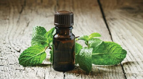 Óleo de hortelã para o abscesso dentário