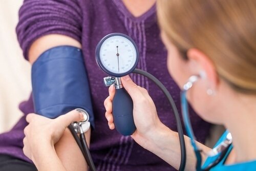 5 ervas para combater a hipertensão