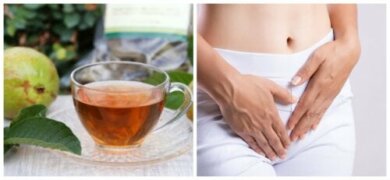 3 remédios com folhas de goiabeira para o corrimento vaginal excessivo