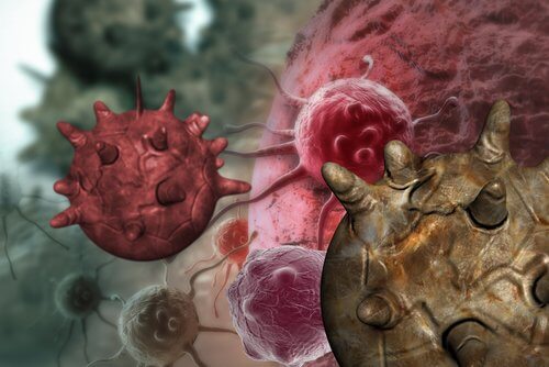 Mitos sobre os alimentos cancerígenos