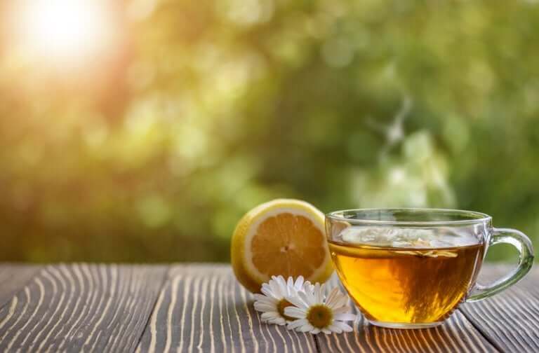 Chá de camomila