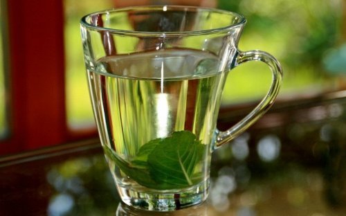 Chá de manjericão para controlar a febre