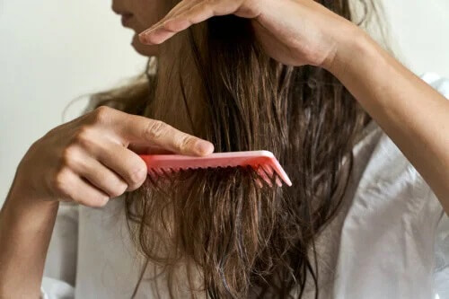 5 remédios naturais para recuperar cabelos maltratados