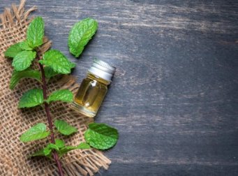 Benefícios do óleo de menta para a saúde corporal