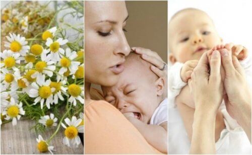 Cólicas em bebês: confira os 5 remédios naturais