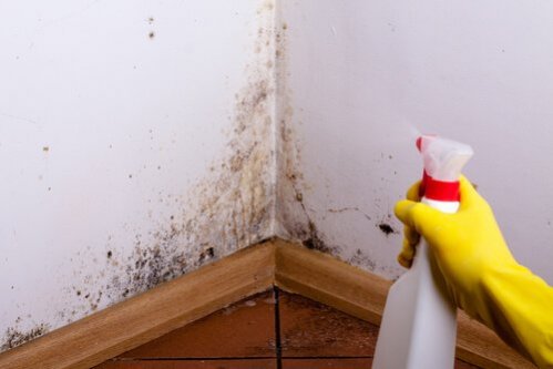 4 truques para limpar paredes manchadas
