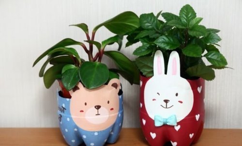 Vasos de flores feitos de embalagens de plástico