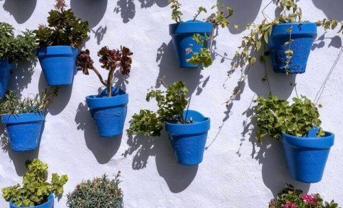 Aprenda a decorar seus vasos de plantas