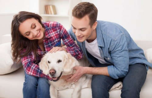 Casal com pet