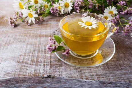Chá de camomila que auxilia o tratamento da gastrite