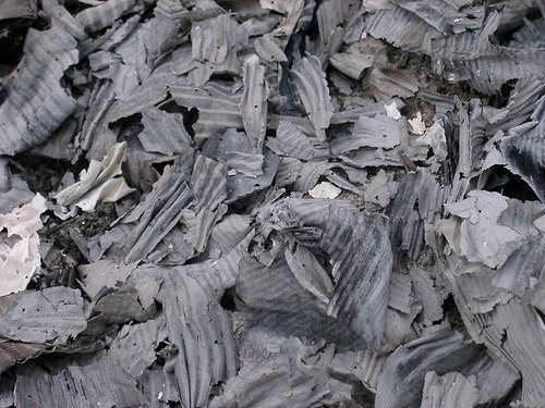 Cinzas para nutrir as plantas