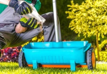 Dicas de jardinagem para nutrir as plantas naturalmente
